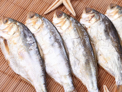 海鲫鱼